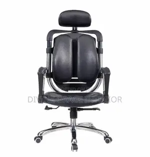 Ergonomic Orthopedic Kidney Chair