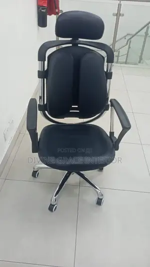 Kidney Shaped Ergonomic Chair