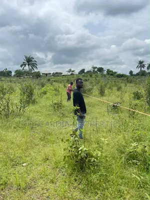1-Acre Land for Sale – Moniya, Ibadan