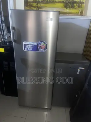 Nexus Standing Freezer 198liters 4months Use