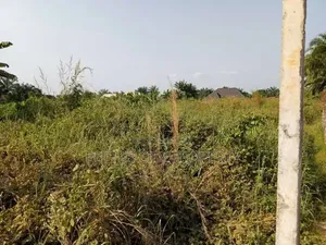 A More Than Half Plot With Uncompleted Structure at Unity Estate Egbed