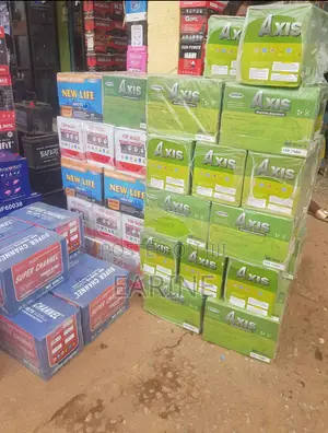 1years Warranty Car Battery