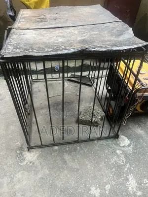 Dog or Gen Cage