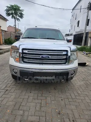 Ford F-150 FX4 2013 Silver
