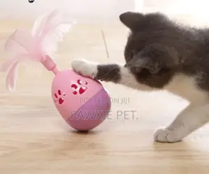 Nunbell Tumbler Cat Toy