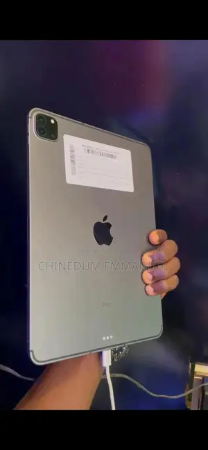 Apple iPad Pro 128 GB Gray