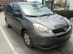 Toyota Sienna 2005 Gray