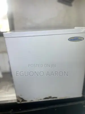 Bedside Refrigerator