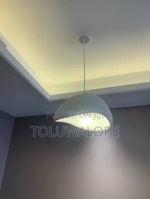 T40 Drop Light