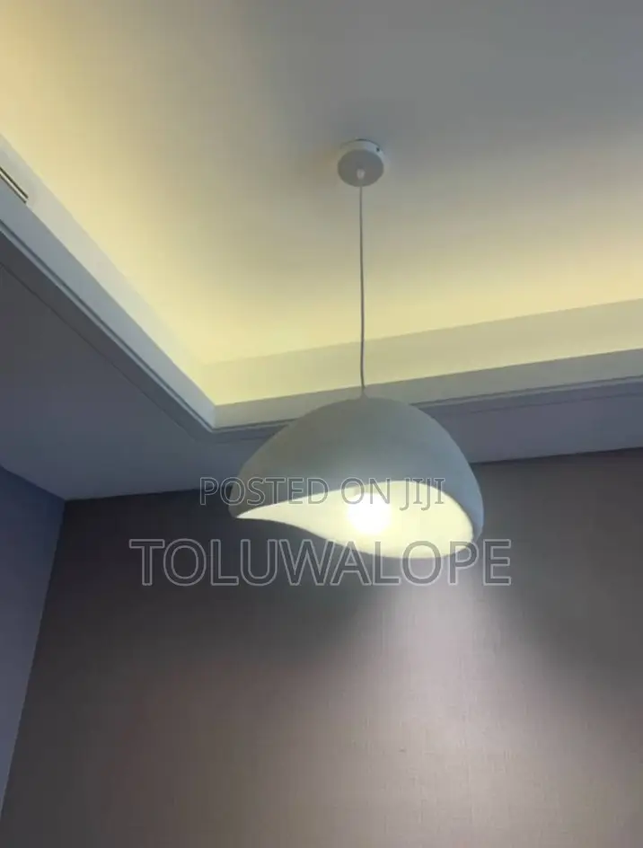 T40 Drop Light
