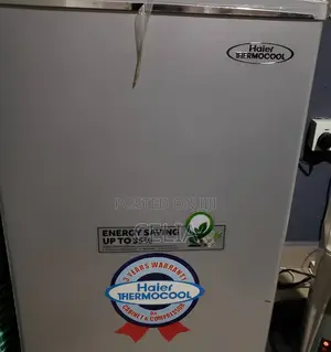 Haier Thermocool Fridge in Good Working Condition Used Under Two Years