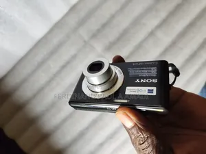 Sony Digital Photo Video Camera for Vintage Passport Snapping