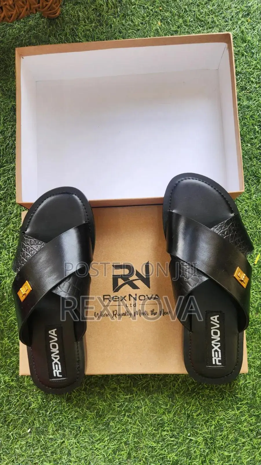 RexNova Terra