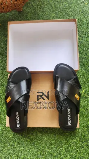 RexNova Terra