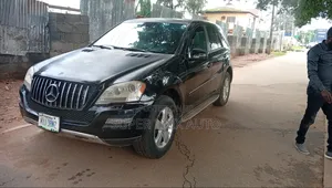 Mercedes-Benz M Class 2010 Black
