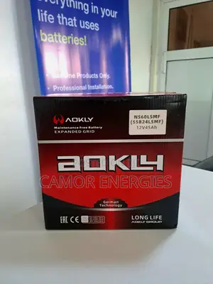 Original China 45Ah Car Battery | Aokly | 6-Month Warranty