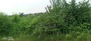 3 Plot of Land for Sale at Ojoo Just 5 Munite Drive After Funnab
