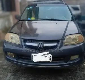 Acura MDX 2005 Gray