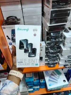 Baiwangli SX39 Wireless Microphone