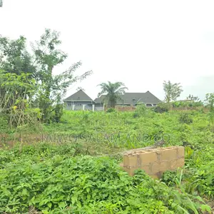 1 Acre of Land