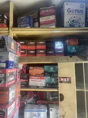 Original Car Batteries