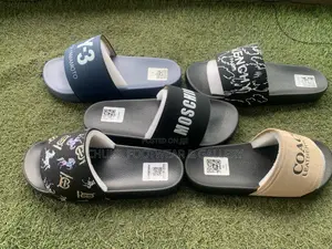 Carton Slides