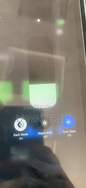 Apple iPad Pro 12.9 (2021) 256 GB Gray
