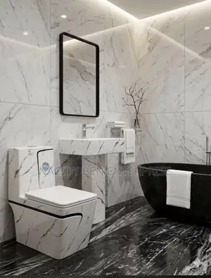 Set of Wc With Acrylic Design