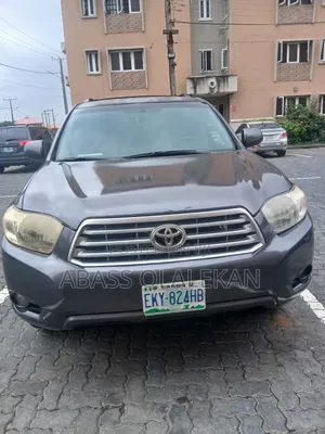 Lexus RX 2009 Gray