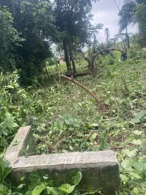 Halfplot of Farmland for Sale