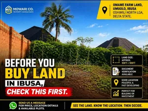 Before You Own Land in Ibusa