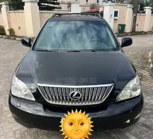 Lexus RX 330 2005 Gray