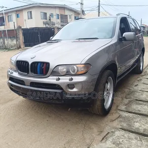 BMW X5 3.0i 2005 Gray