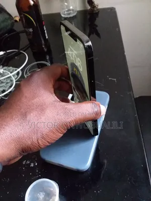 Apple iPhone 12 Pro Max 256 GB Gray