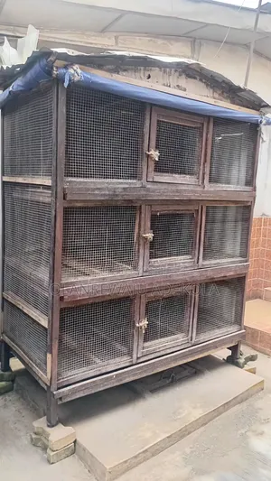 Two Chicken Cages