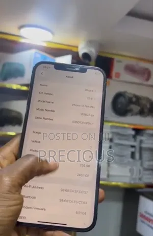 Apple iPhone 12 Pro Max 256 GB Blue
