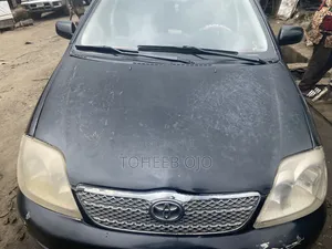 Toyota Corolla 2001 Gray
