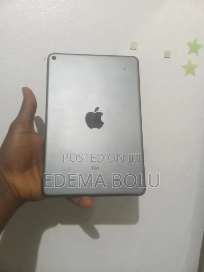 Apple iPad mini 5 64 GB Gray