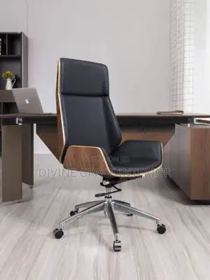 Premium Directors’ Chair