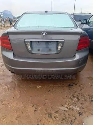 Acura TL 2005 Gray