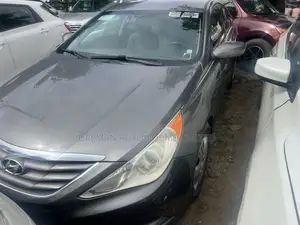 Hyundai Sonata 2010 Gray