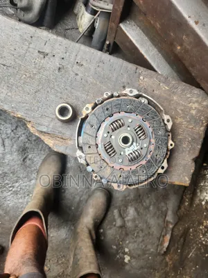 100% Dick and Plate 206 Peugeot