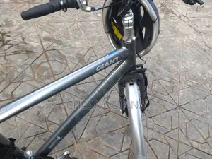 Electric Bicycle
