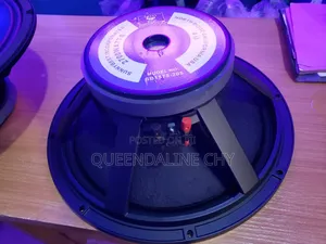 15 Inches Speaker 75.5 Coil Woofer(2700 Watts )
 Sunny Best