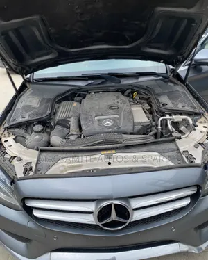 Mercedes-Benz C300 Luxury Sedan RWD (2.0L 4cyl 7A) 2017 Gray