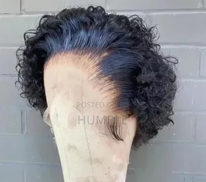 Curly Women Wig