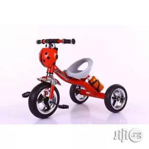 Tricycle for Kids With Water Bottle