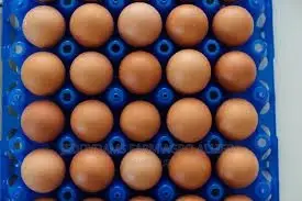 Table Eggs