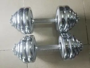 Chrome Dumbbell 30kg