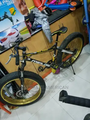 Exercise Bicycle